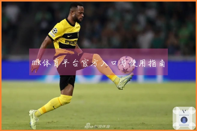 mk体育平台官方入口与使用指南