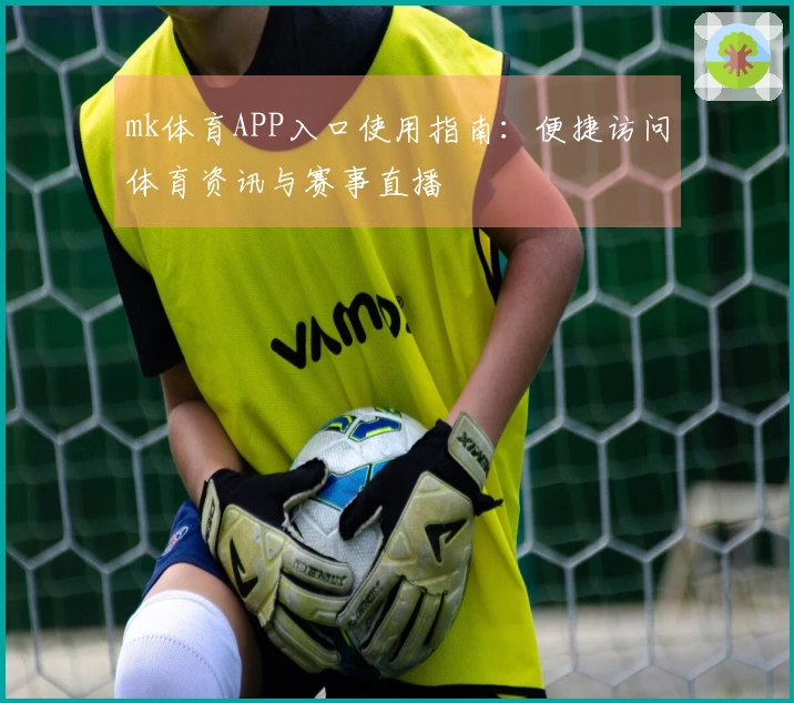 mk体育APP入口使用指南：便捷访问体育资讯与赛事直播